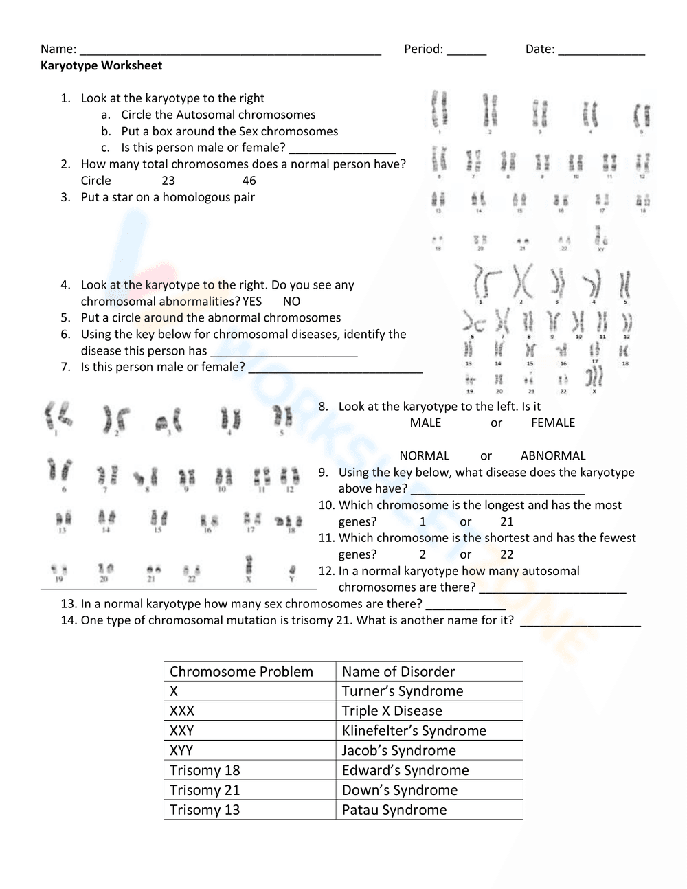 Genetics Study: Karyotype Worksheet - Page 1