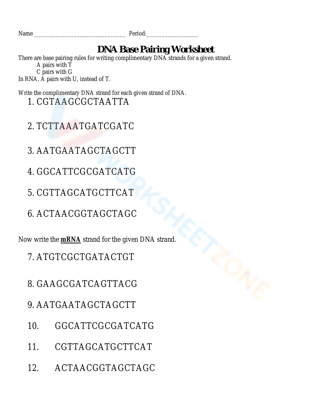 Updated DNA Base Pairing Worksheet for Genetics - Page 1
