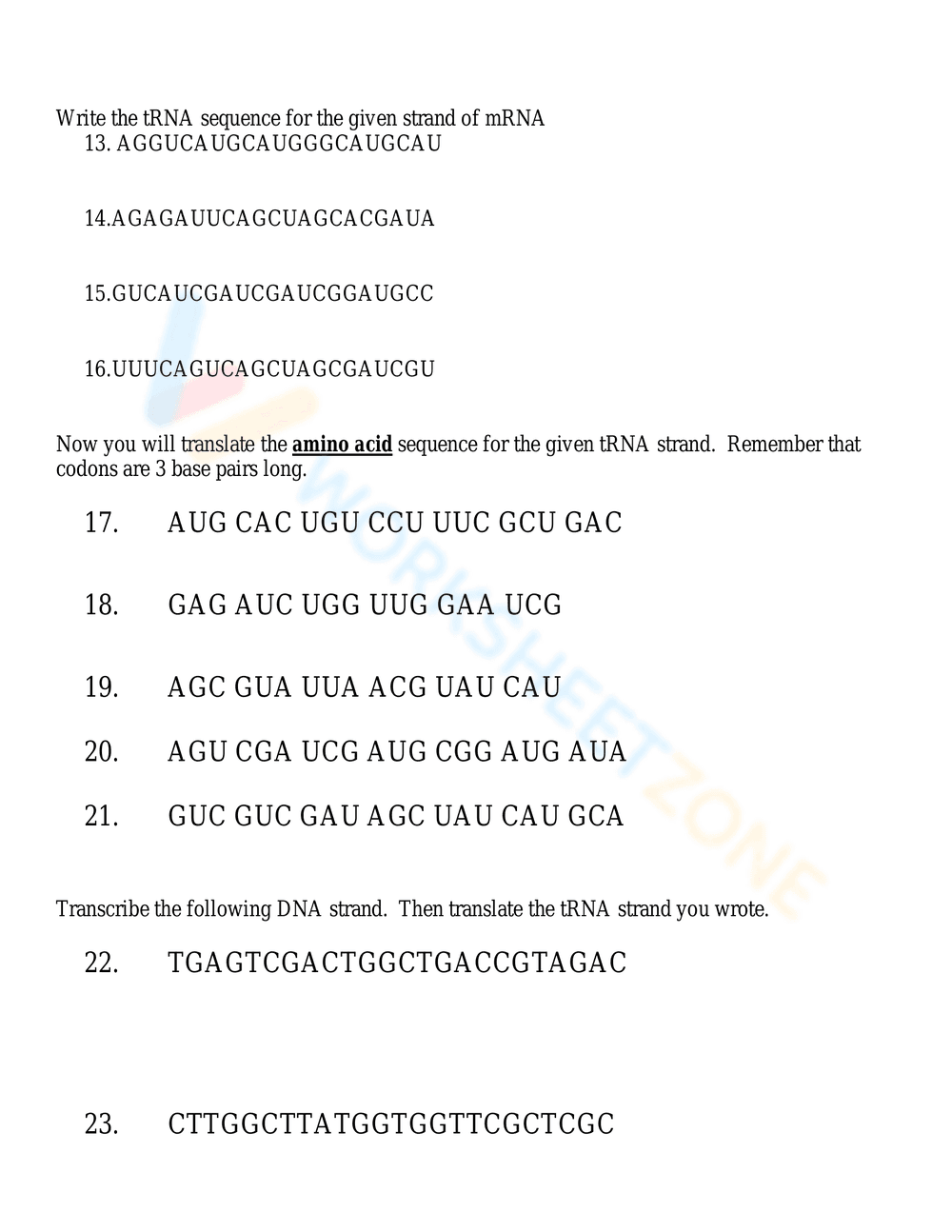Updated DNA Base Pairing Worksheet for Genetics - Page 2