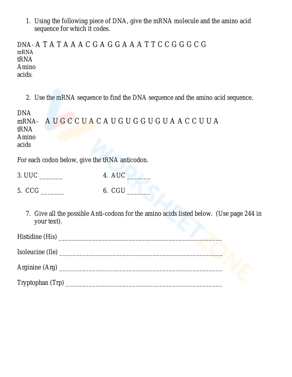 Updated DNA Base Pairing Worksheet for Genetics - Page 4