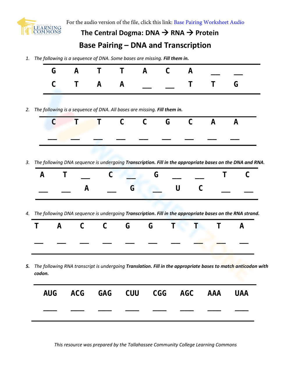 DNA Base Pairing Practice - Page 1