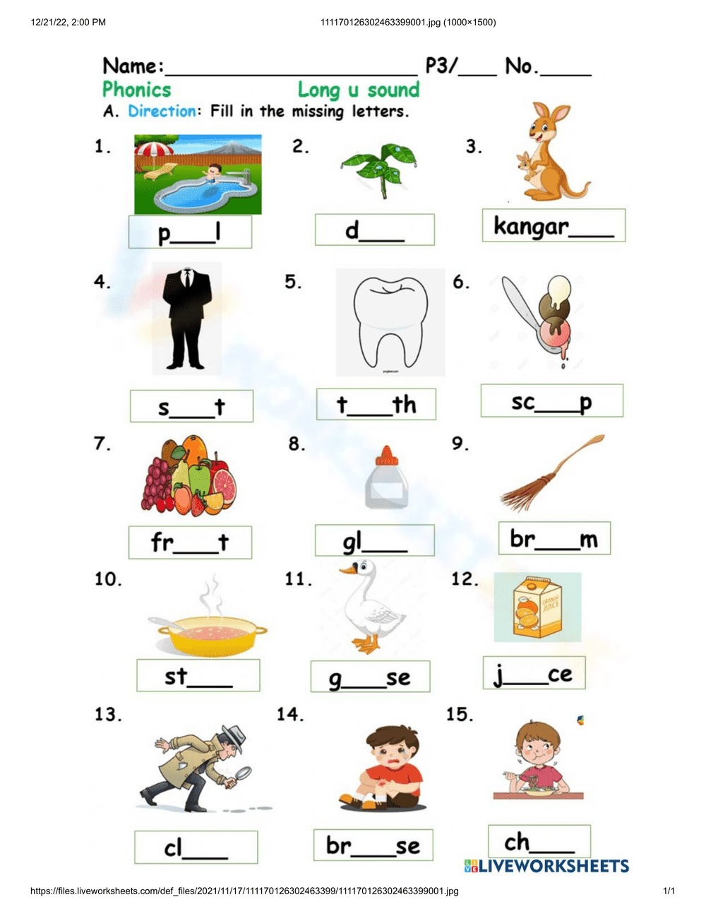 Exploring Long U Sounds with Phonics Worksheet - Page 1