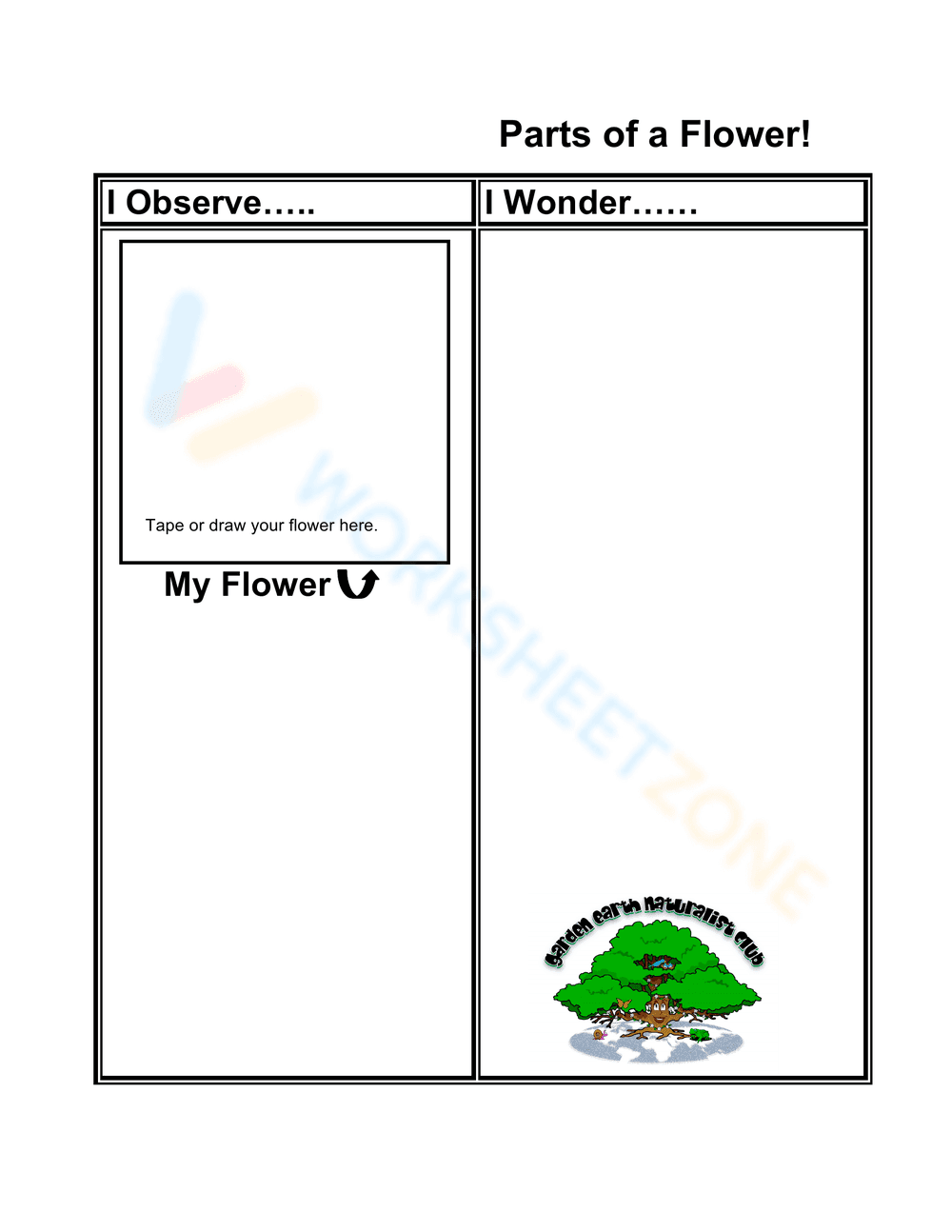 Parts of a Flower Dissection Guide - Page 3