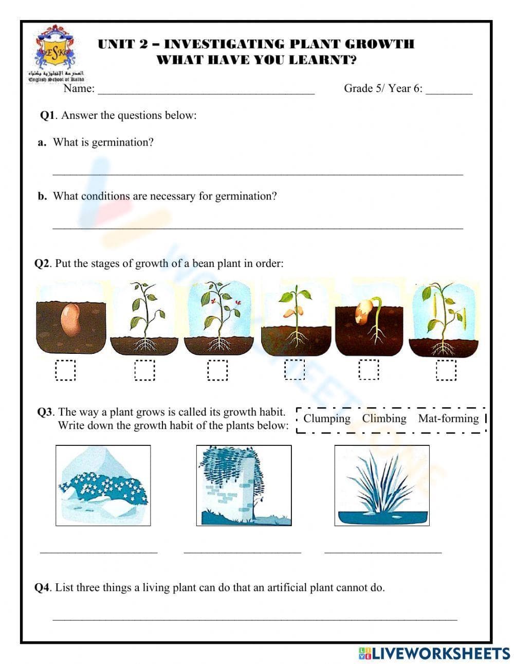 Exploring the Process of Germination - Page 1