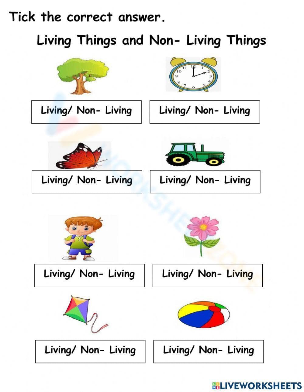 Sorting Living and Non-Living - Page 1