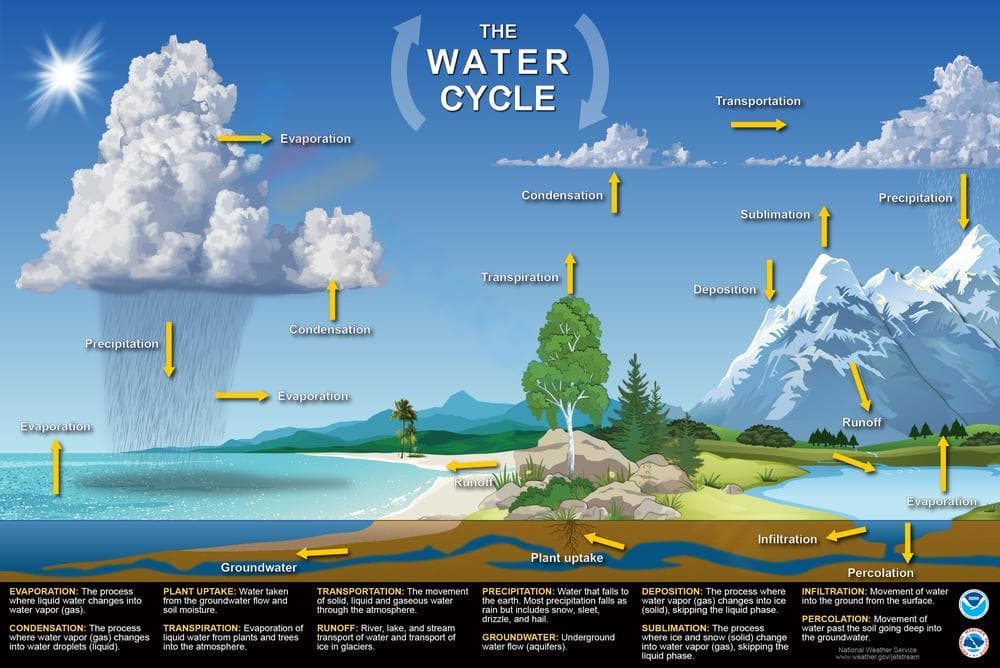 Water Cycle Infographic for Learning - Page 1
