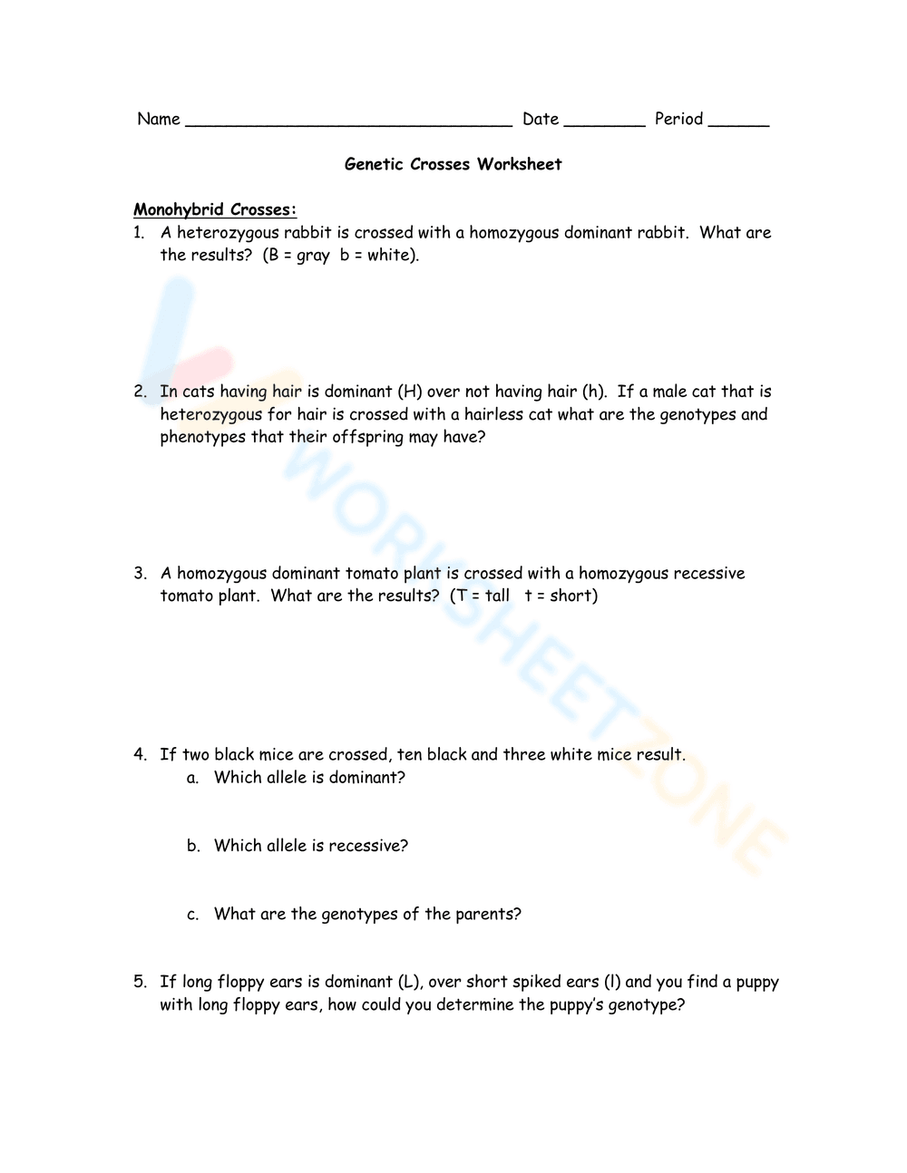 Practice with Genetic Crosses Worksheet - Page 1