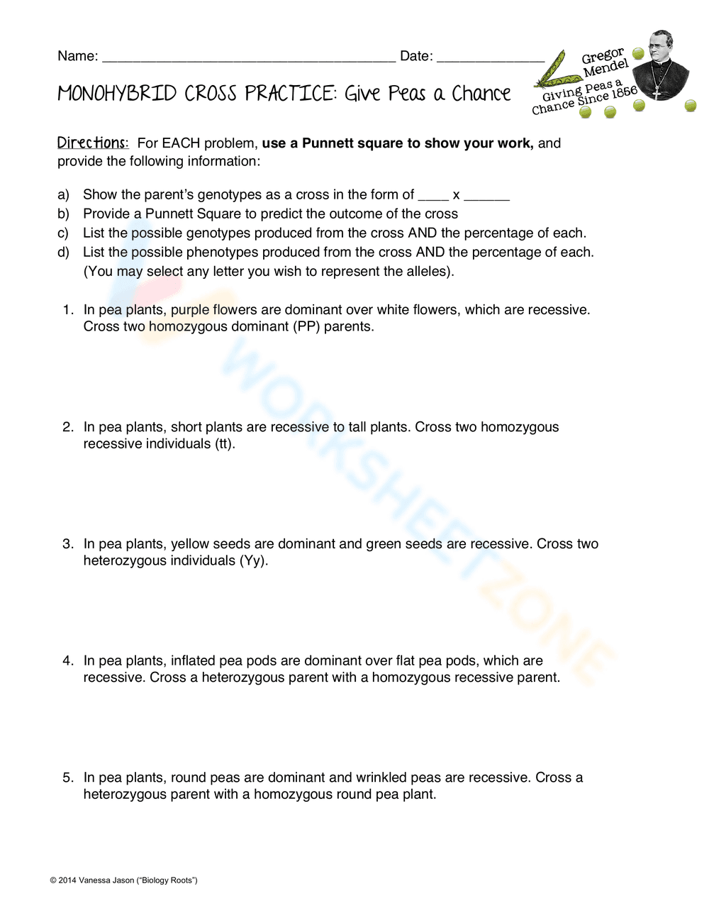 Updated Monohybrid Cross Practice Problems - Page 1