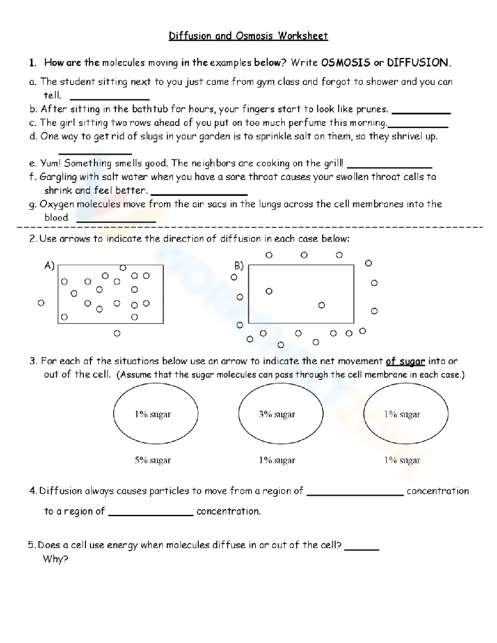 Diffusion and Osmosis Worksheet - Page 1