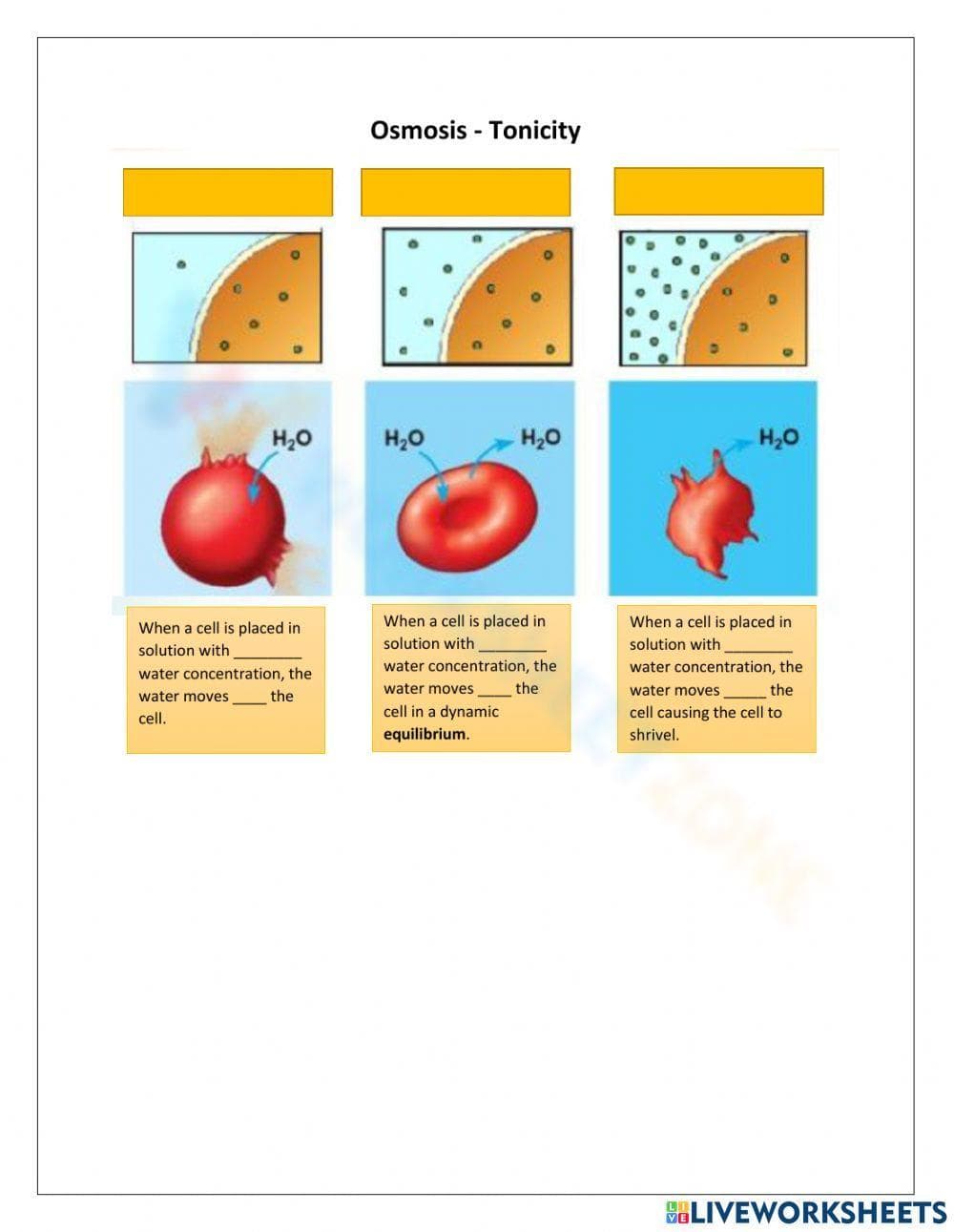 Exploring Osmosis and Tonicity Concepts - Page 1