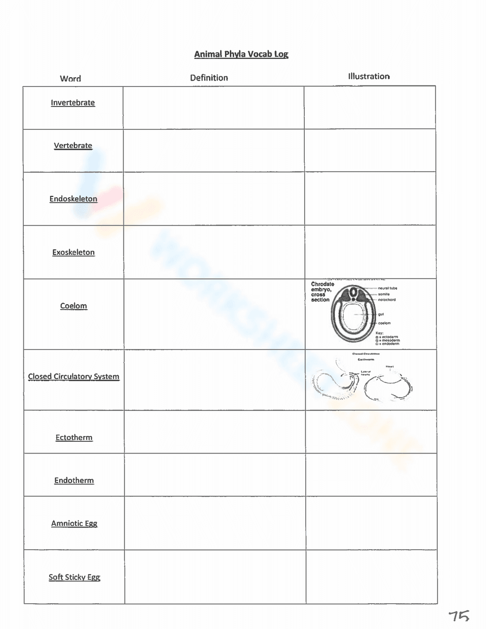 Animal Phyla Vocab Log - Page 1