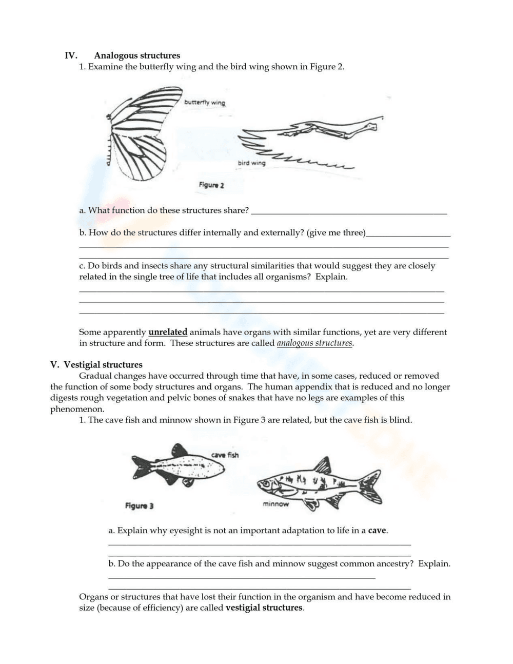 Exploring the Evidence of Evolution - Page 3