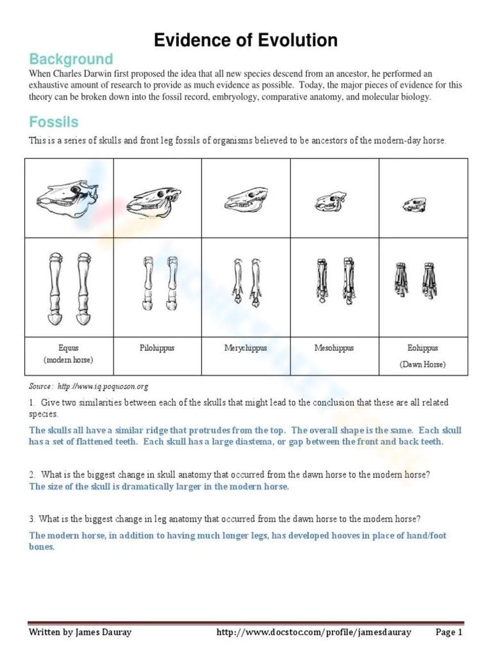 Biological Evidence of Evolution - Page 1