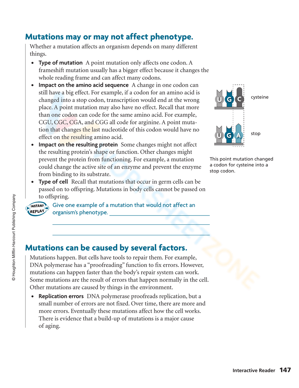 Understanding Mutations Worksheet - Page 2
