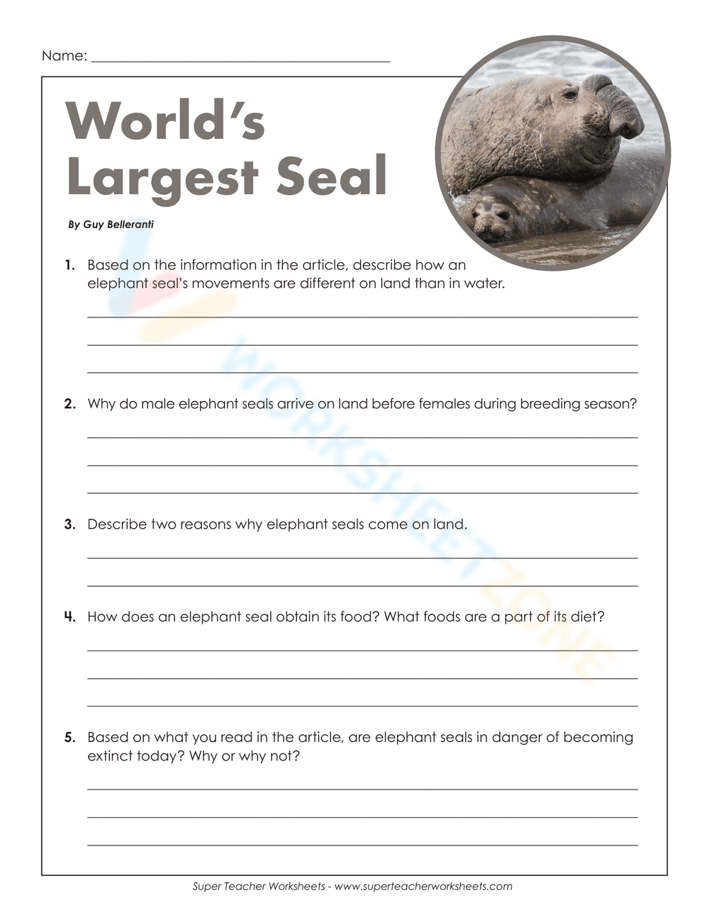 World's Largest Seal - Page 2