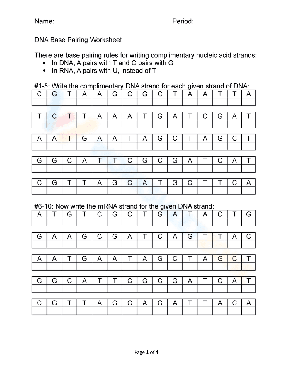 Worksheet: DNA Base Pairing Made Simple - Page 1