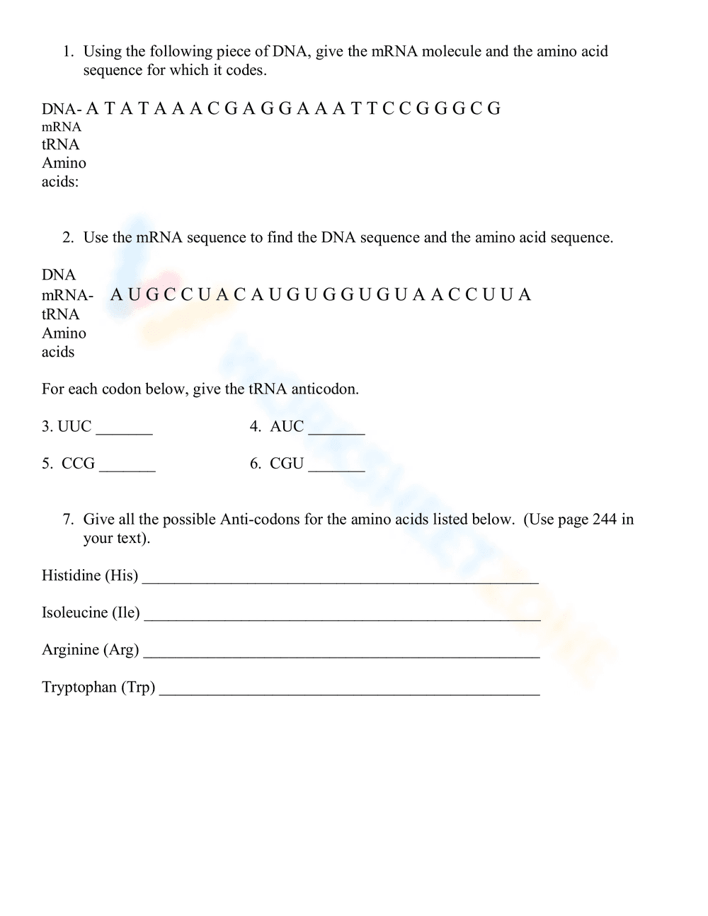 Comprehending DNA Base Pairing Worksheet - Page 3