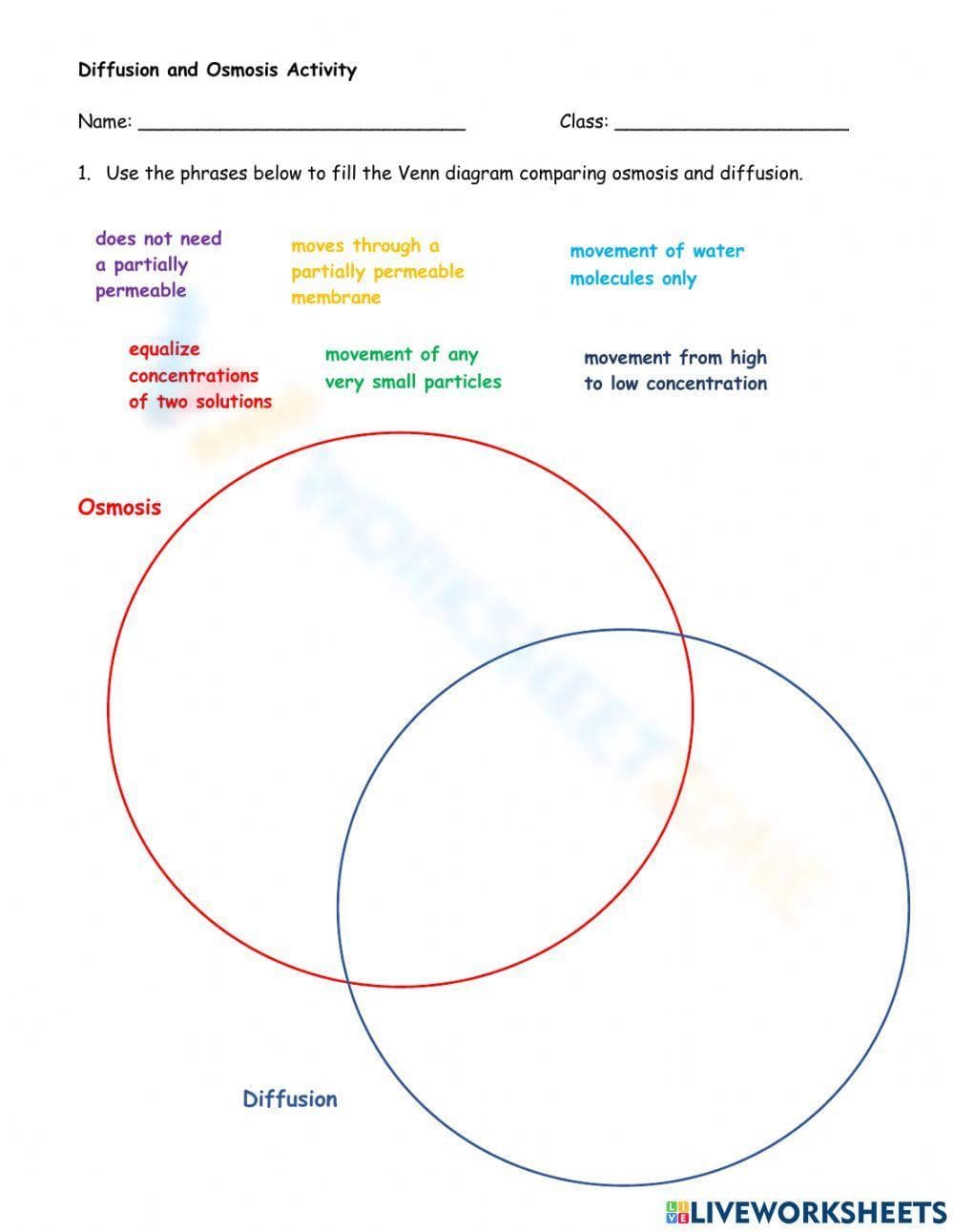 Diffusion and osmosis activity - Page 1