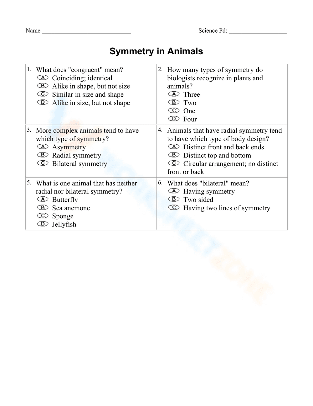 Symmetry in Animals - Page 2