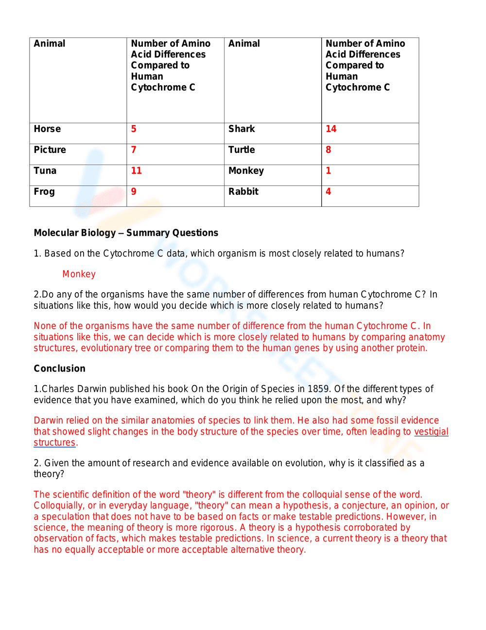 Evidence of evolution worksheet - Page 8