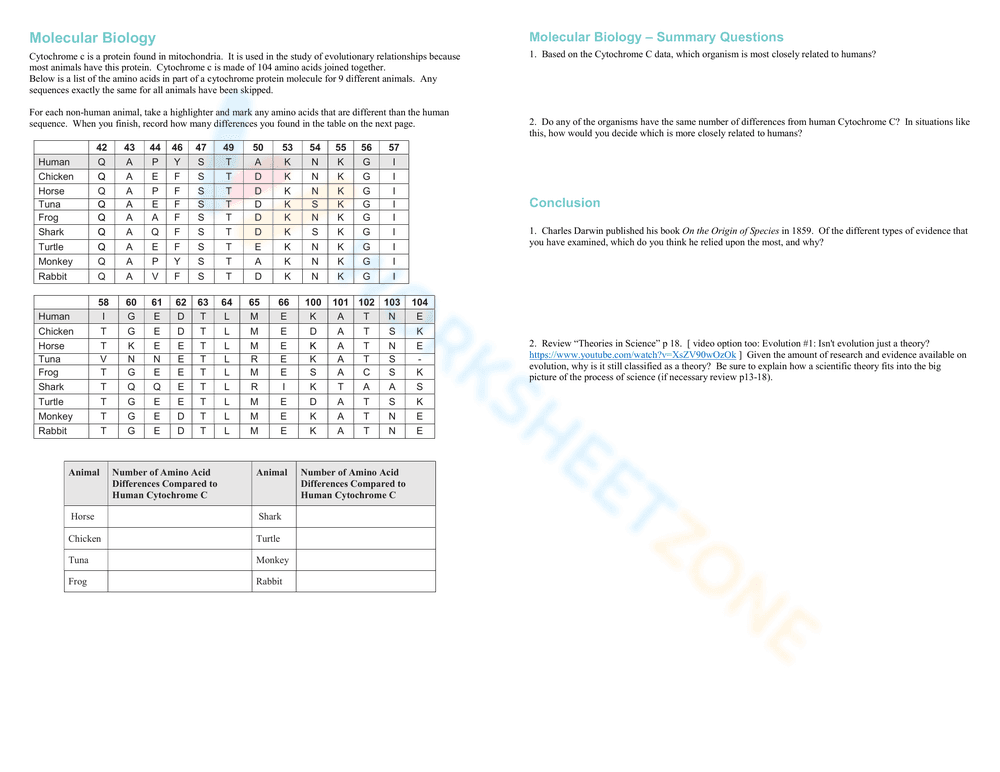 Exploring Evolution: Evidence Worksheet for Students - Page 5
