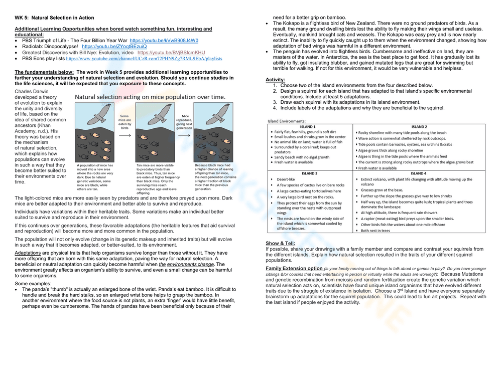 Exploring Evolution: Evidence Worksheet for Students - Page 6