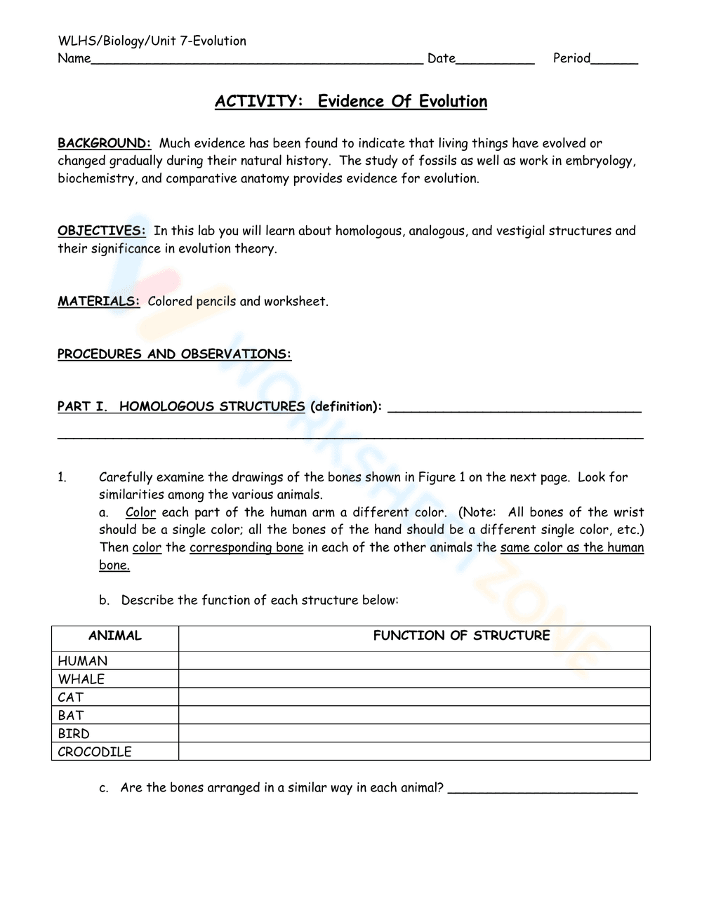 Activity on Evidence of Evolution - Page 1