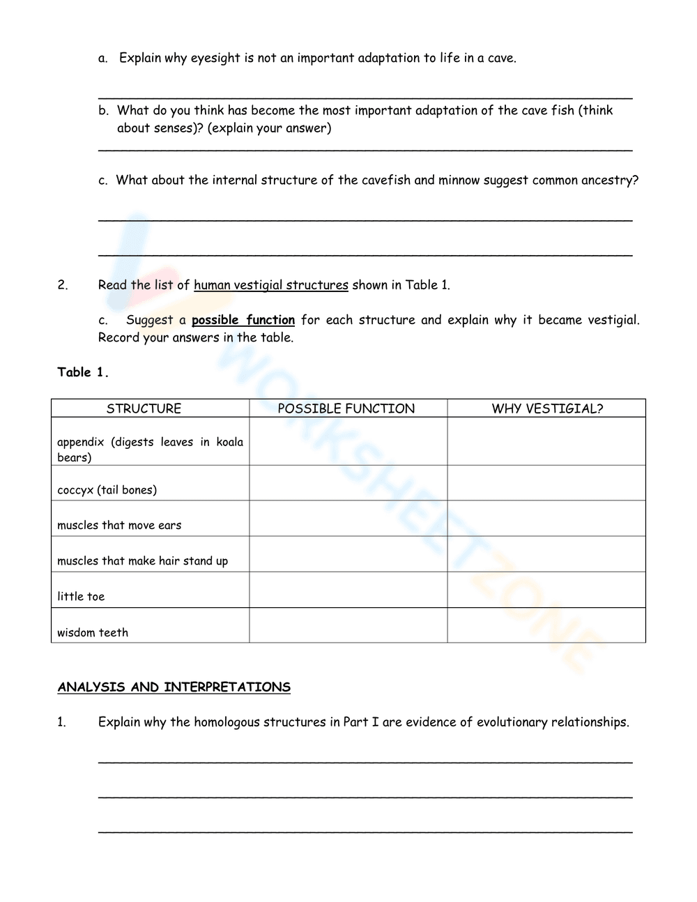Activity on Evidence of Evolution - Page 4