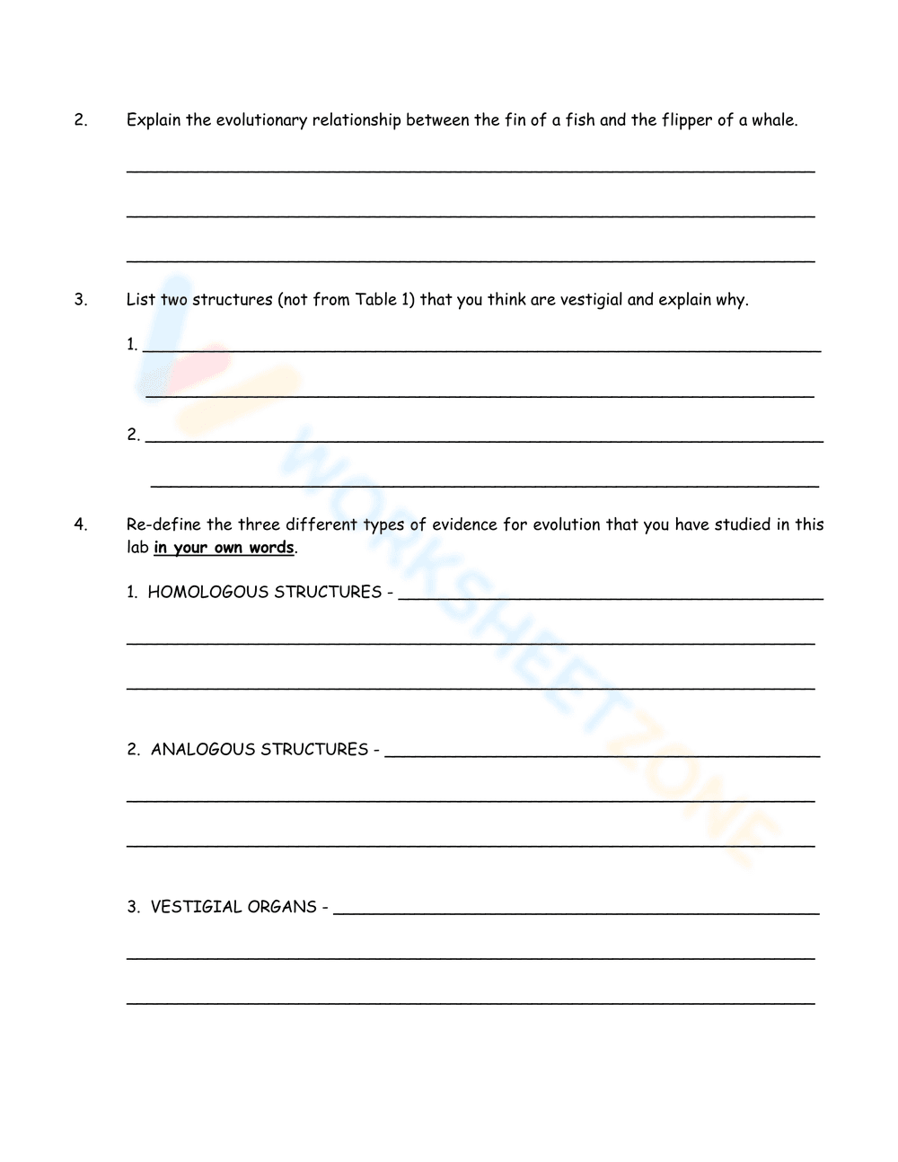 Activity on Evidence of Evolution - Page 5