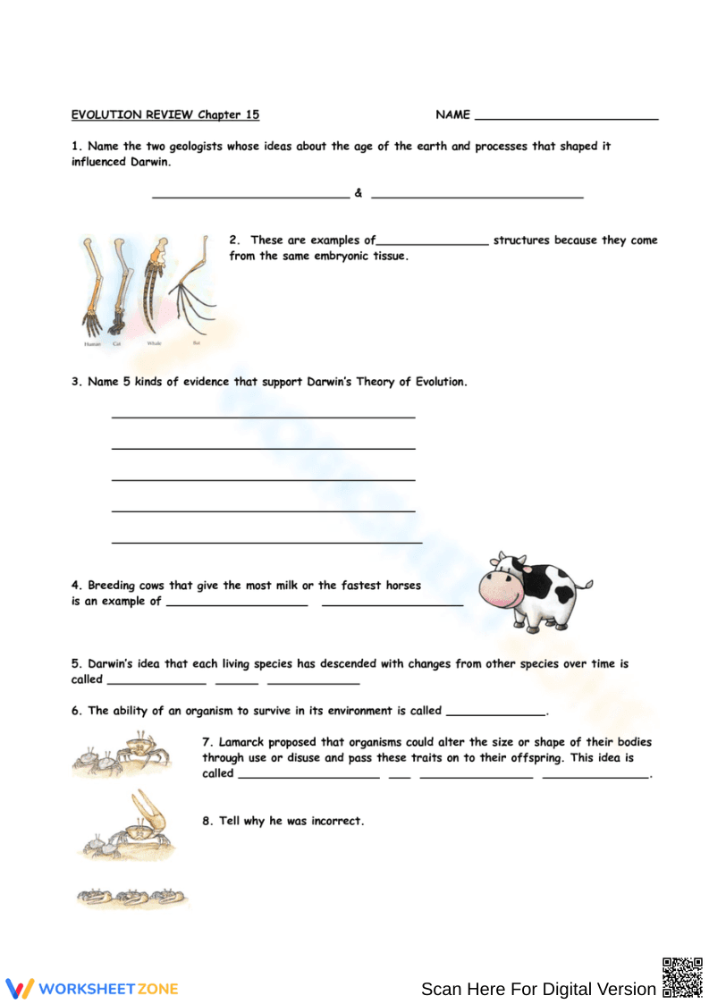 Evolution Review – Darwin's Theory Exercises - Page 1