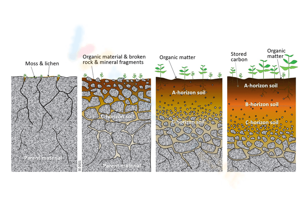 Understanding Soil Components Worksheet - Page 1