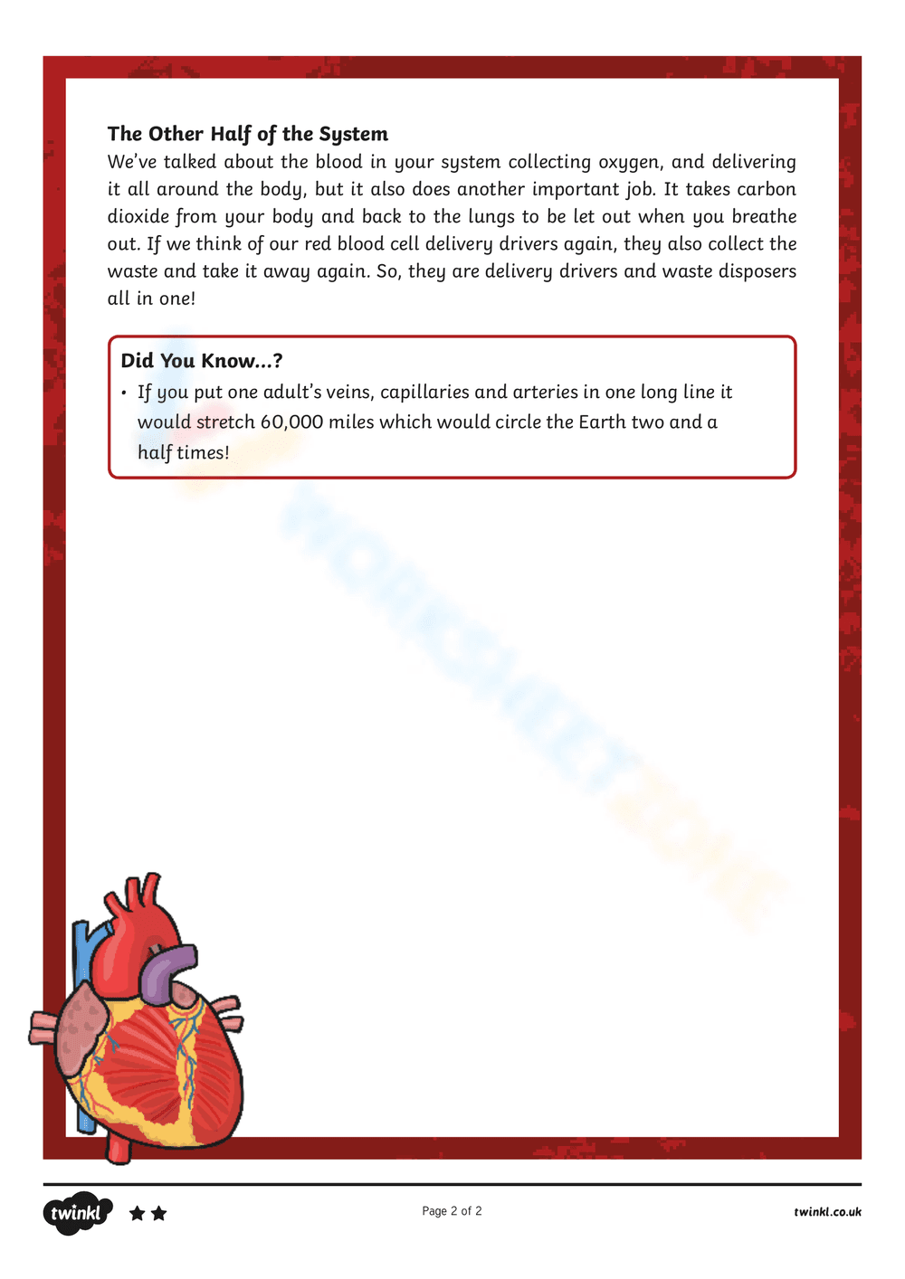 The Circulatory System: Understanding Blood Flow - Page 1