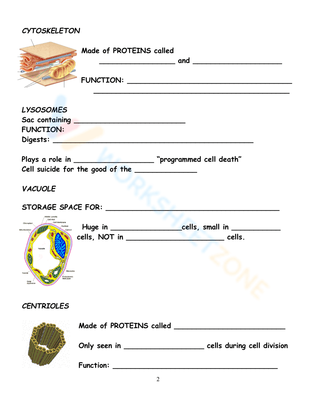 Parts of Prokaryotic & Eukaryotic Cells - Page 2