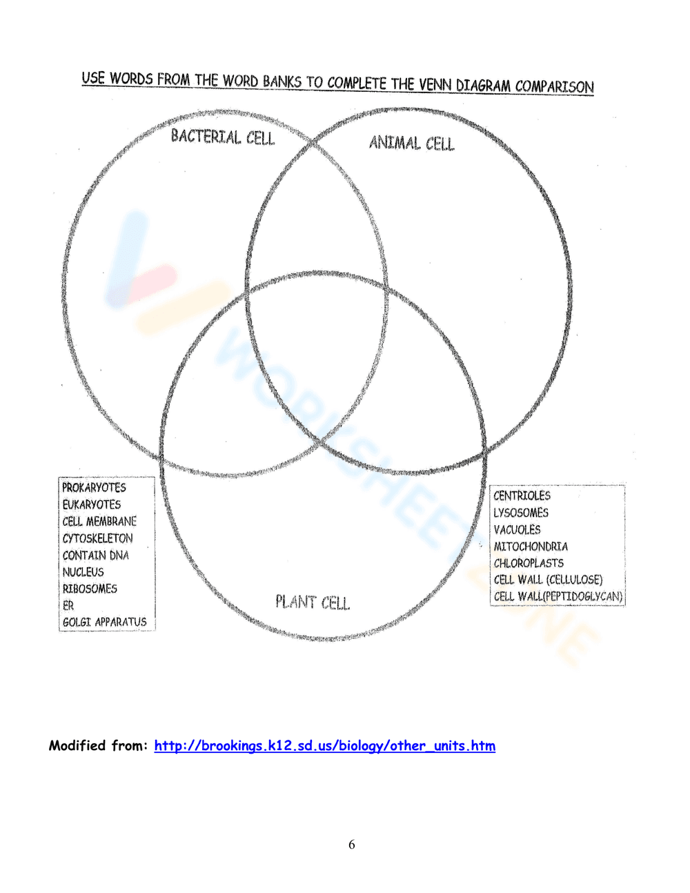Parts of Prokaryotic & Eukaryotic Cells - Page 6