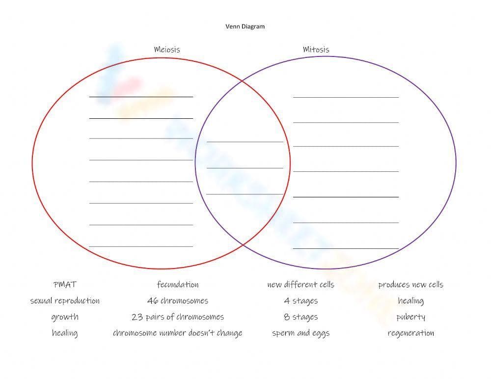 Venn Diagram Worksheet for Data Comparison - Page 1