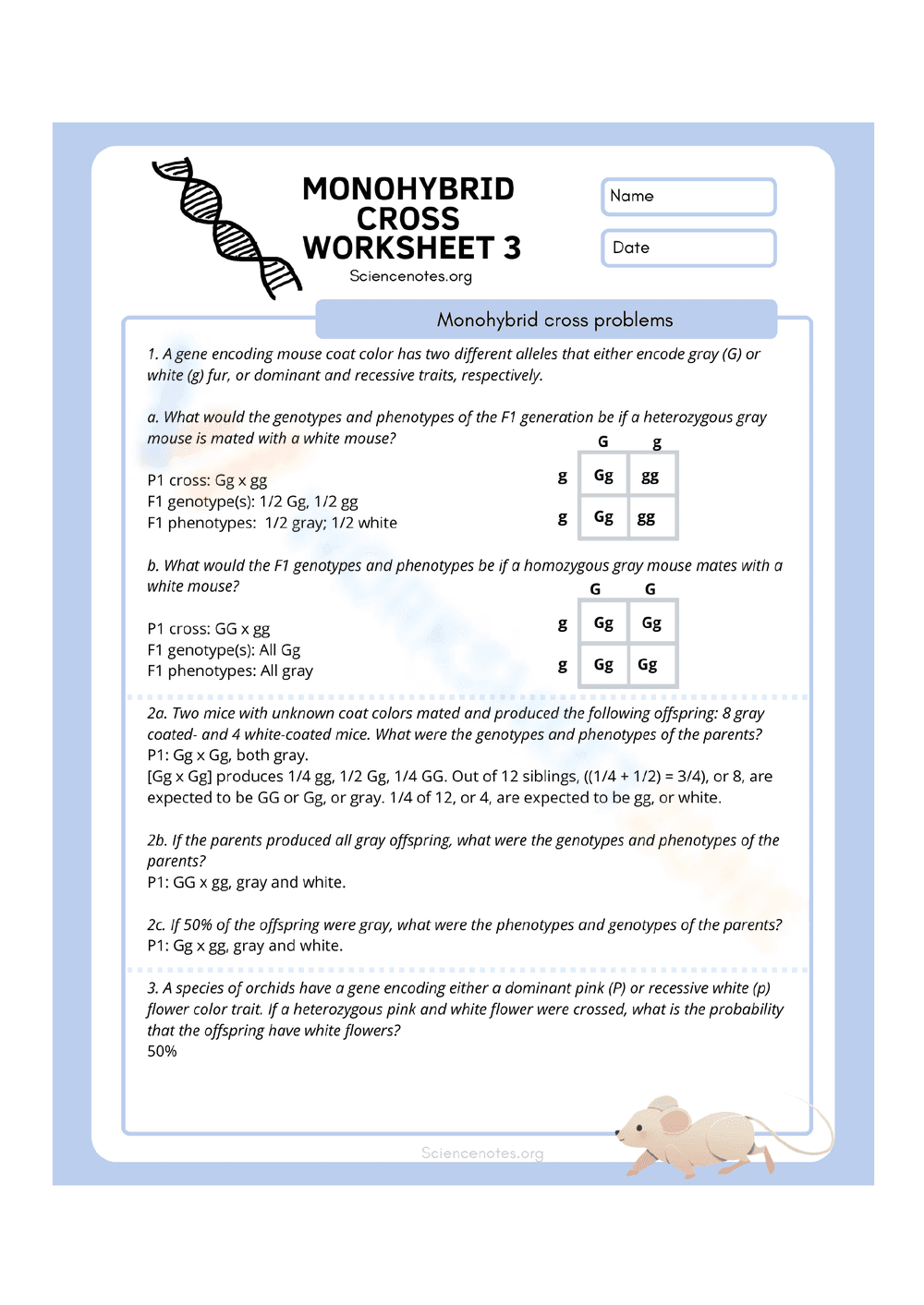 Genetic Monohybrid Cross Answer - Page 1