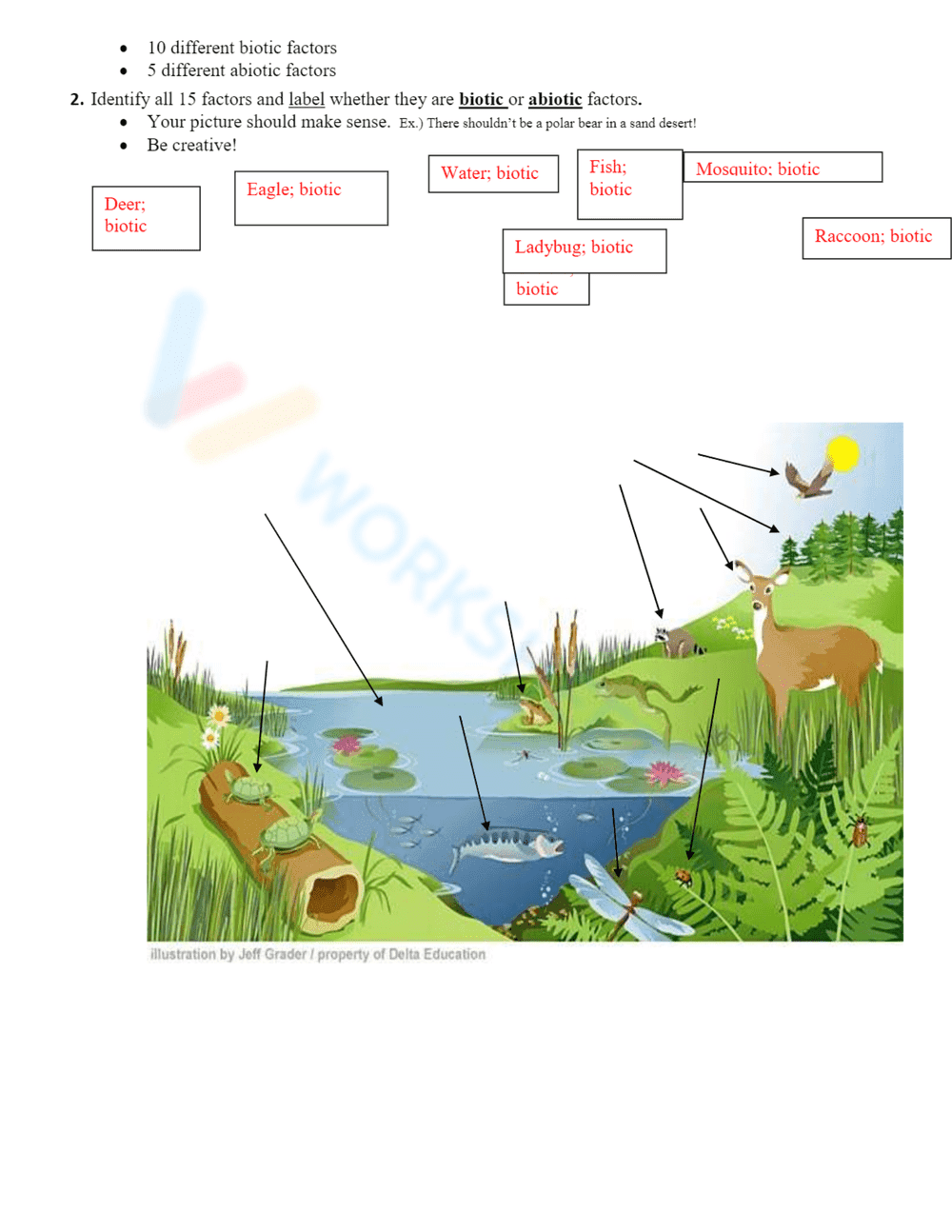 Abiotic vs. Biotic Factors Worksheet with Answer Key - Page 2