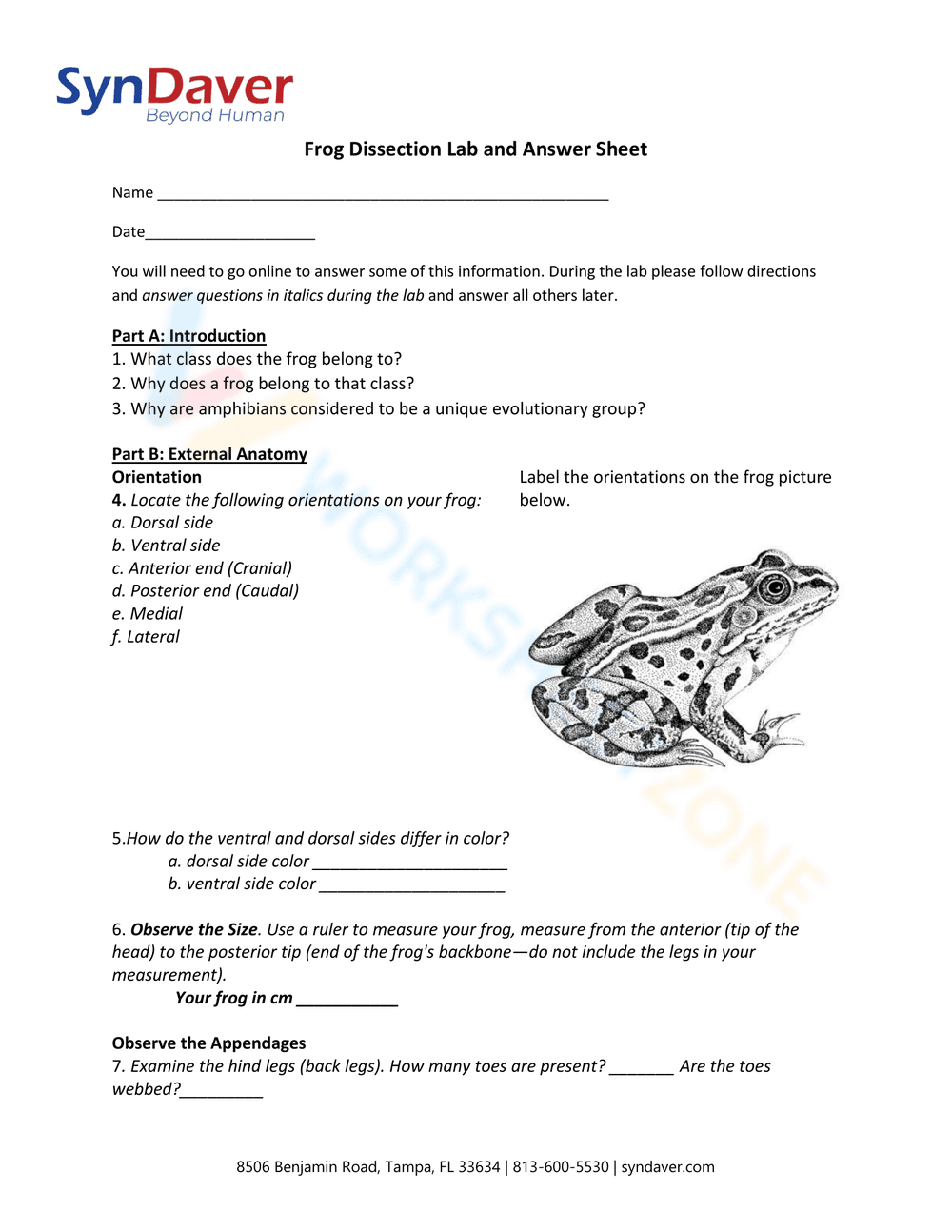 Frog Dissection Lab and Answer Sheet - Page 1
