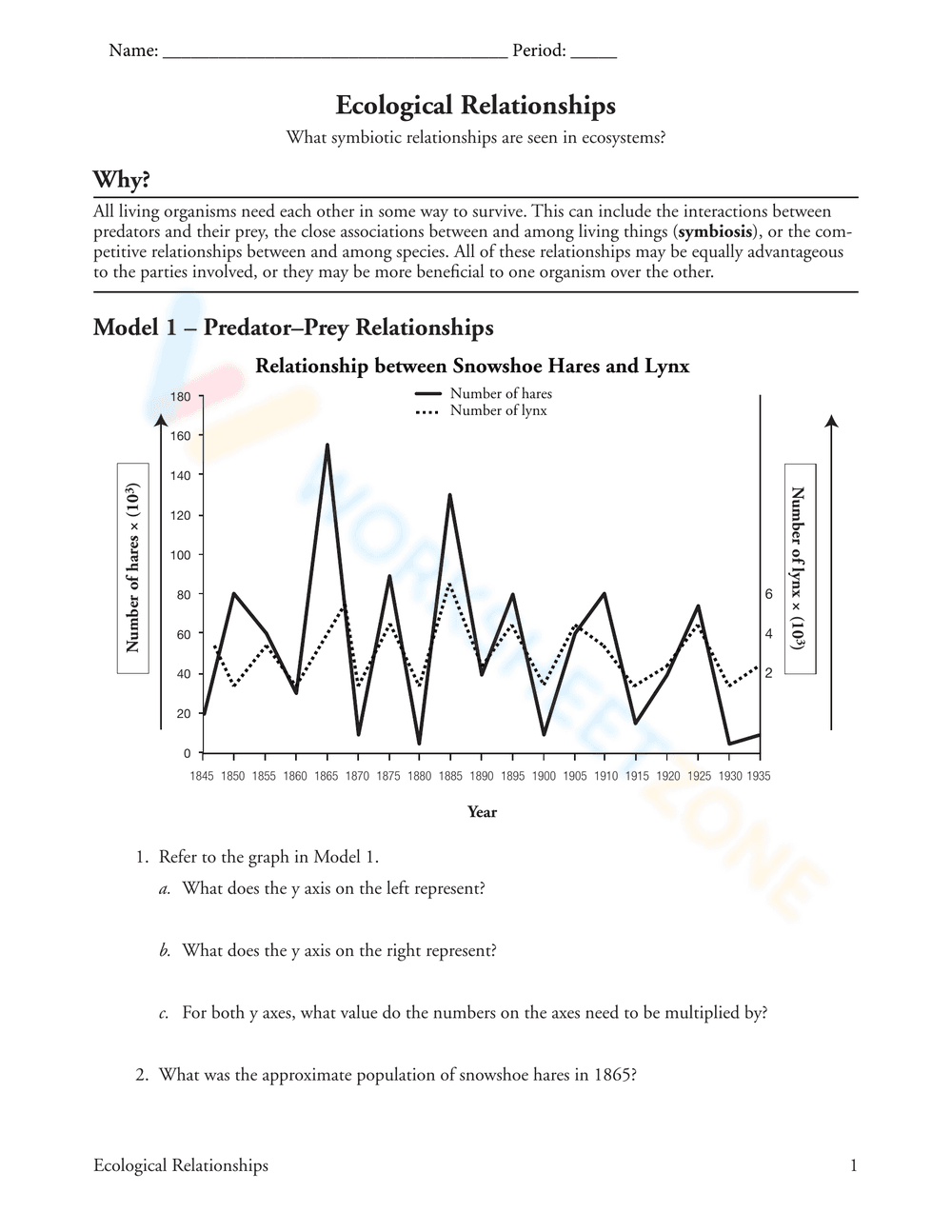 Ecological Relationships: Updated Worksheet - Page 1