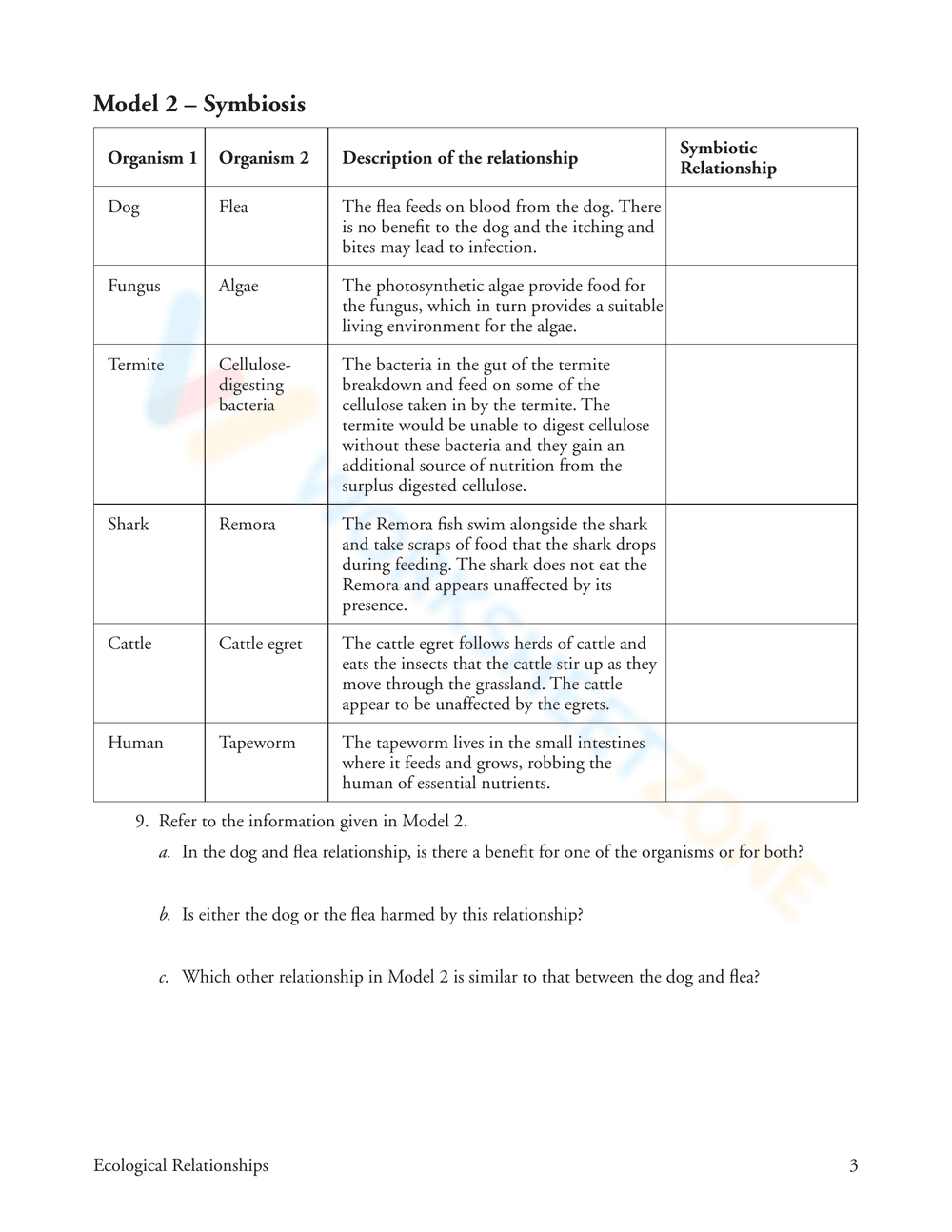 Ecological Relationships: Updated Worksheet - Page 3