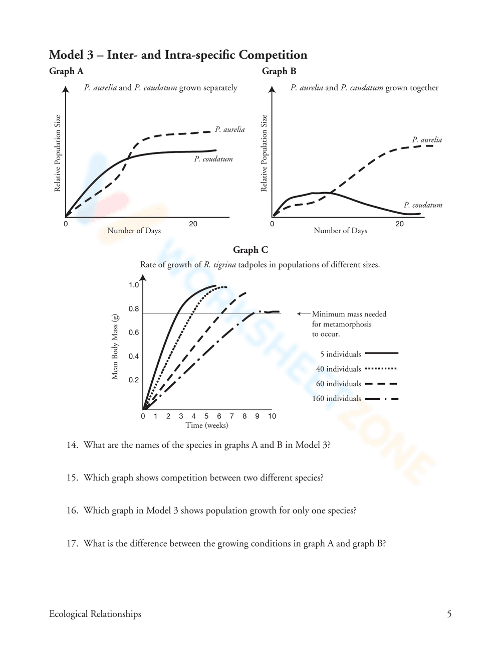 Ecological Relationships: Updated Worksheet - Page 5