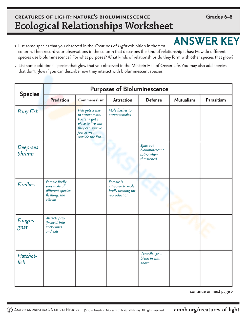 Exploring Ecological Relationships - Page 3