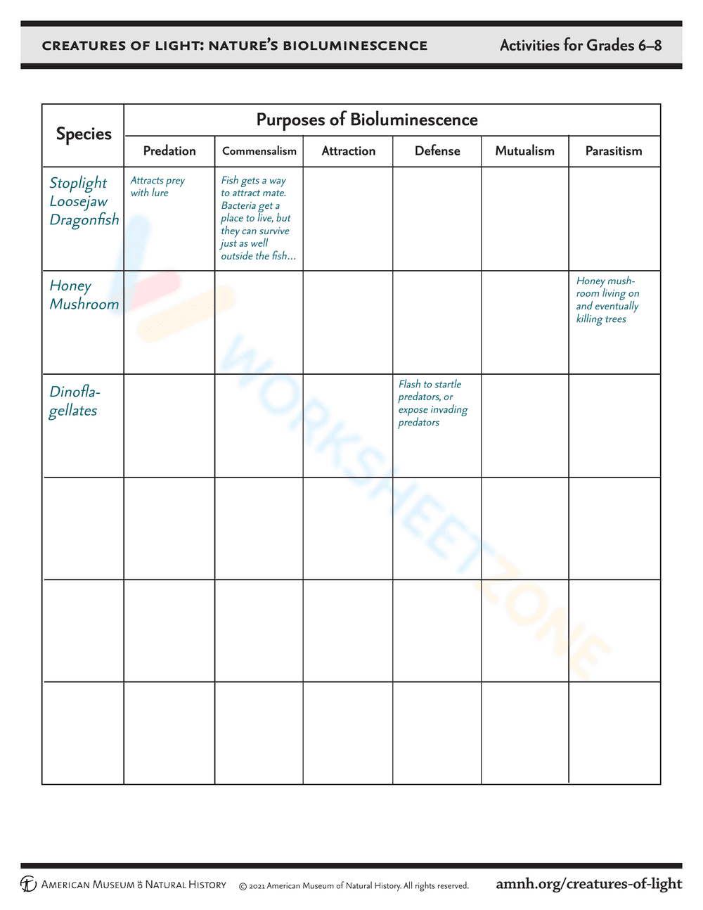 Exploring Ecological Relationships - Page 4