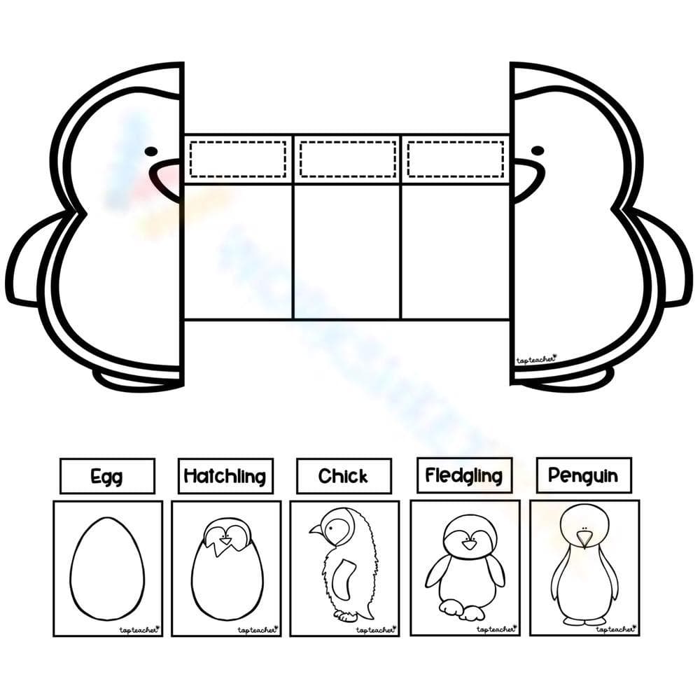 Cut and Paste Penguin Life Cycle - Page 1