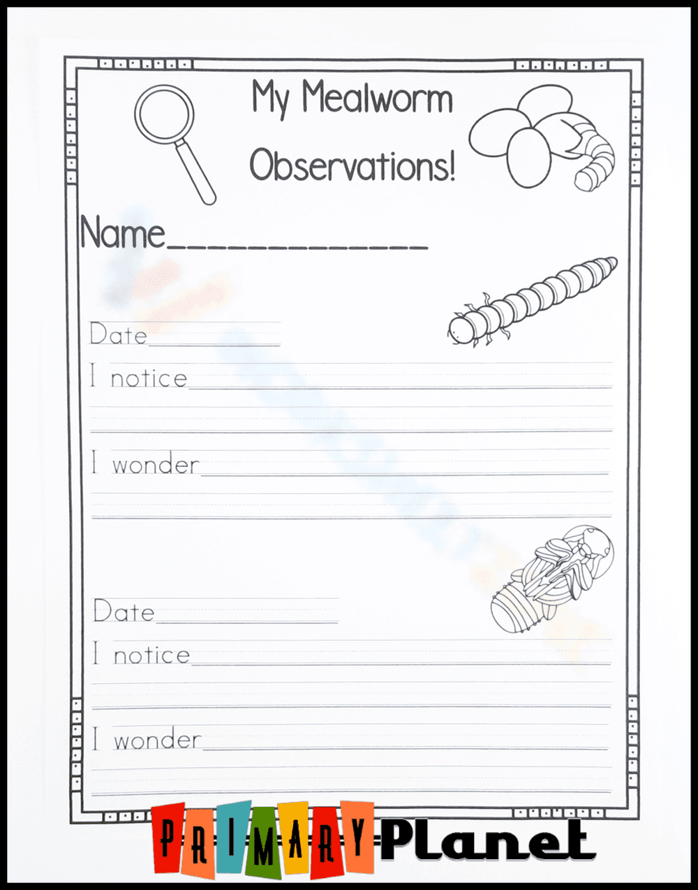 Conduct a Mealworm Observation - Page 1
