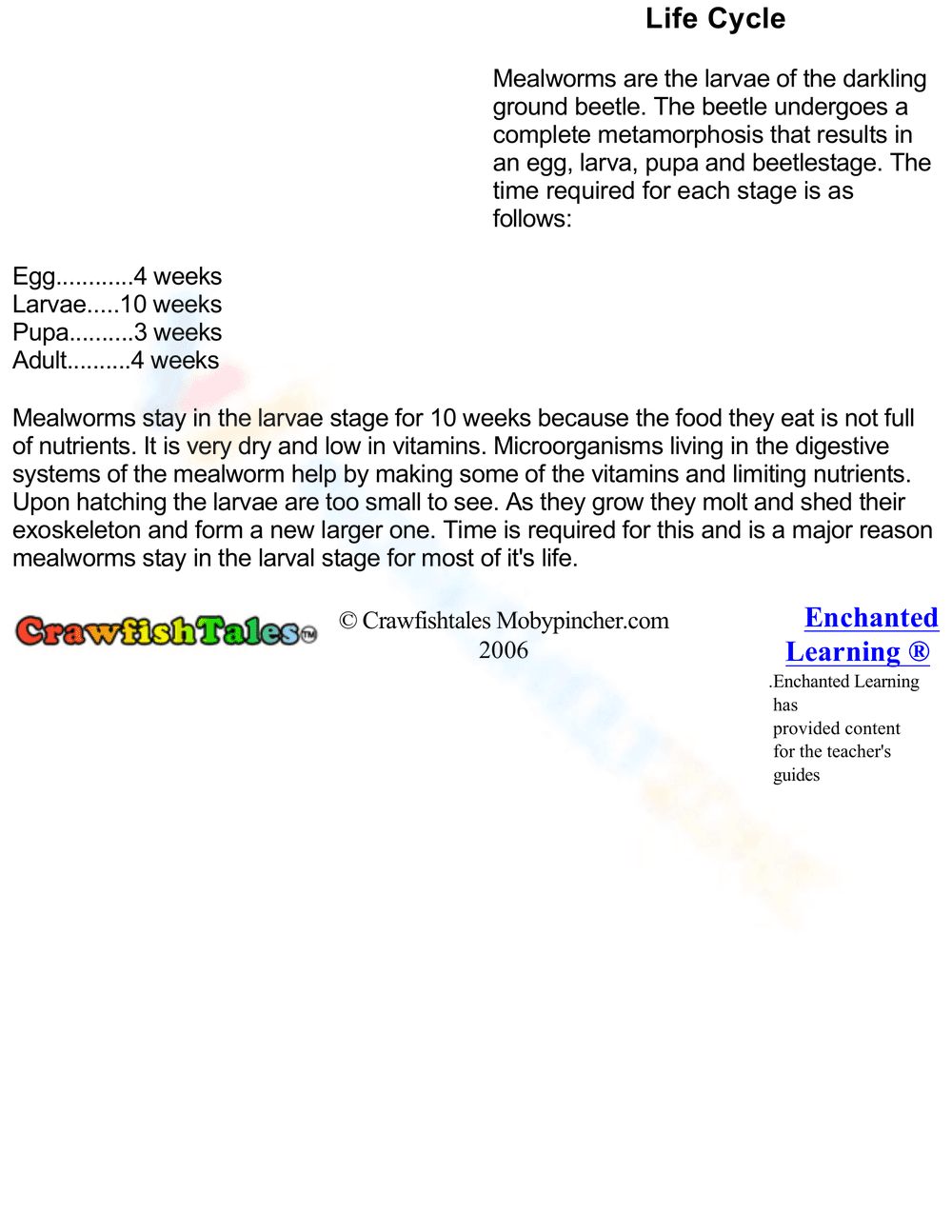 Explore the Mealworm Life Cycle - Page 2