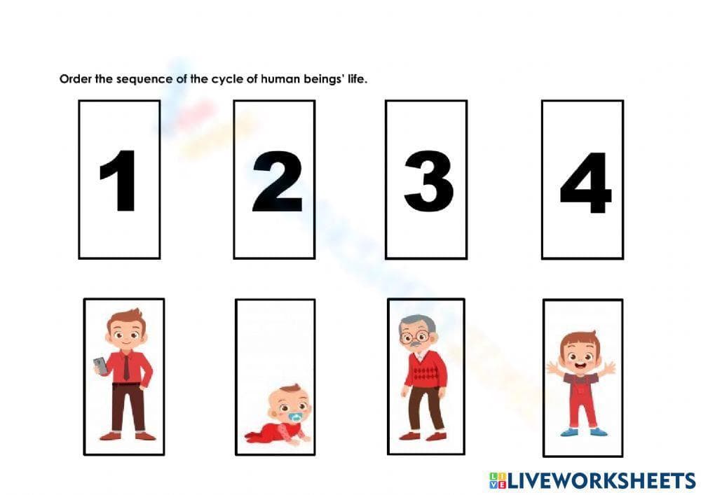 The Order of the Human Life Cycle - Page 1