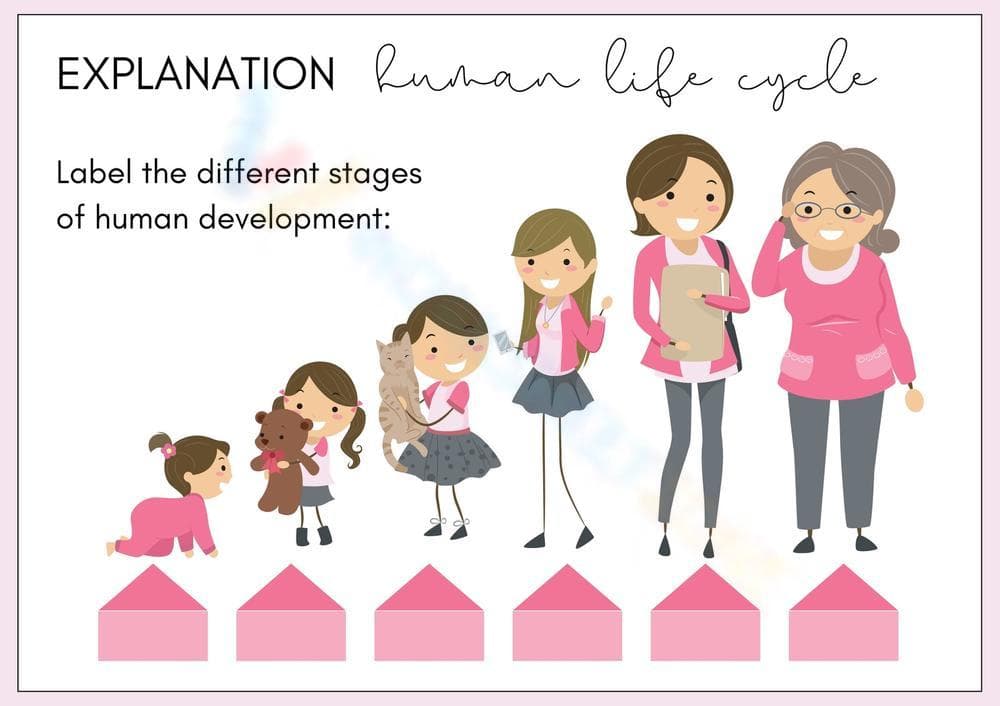 Understanding the Female Life Cycle - Page 1