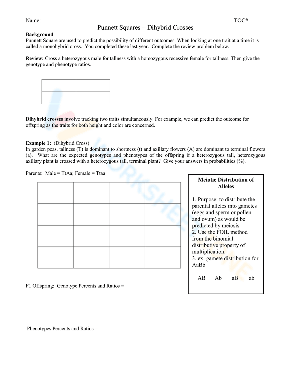 Punnett Squares Dihybrid Crosses Practice Worksheet - Page 3