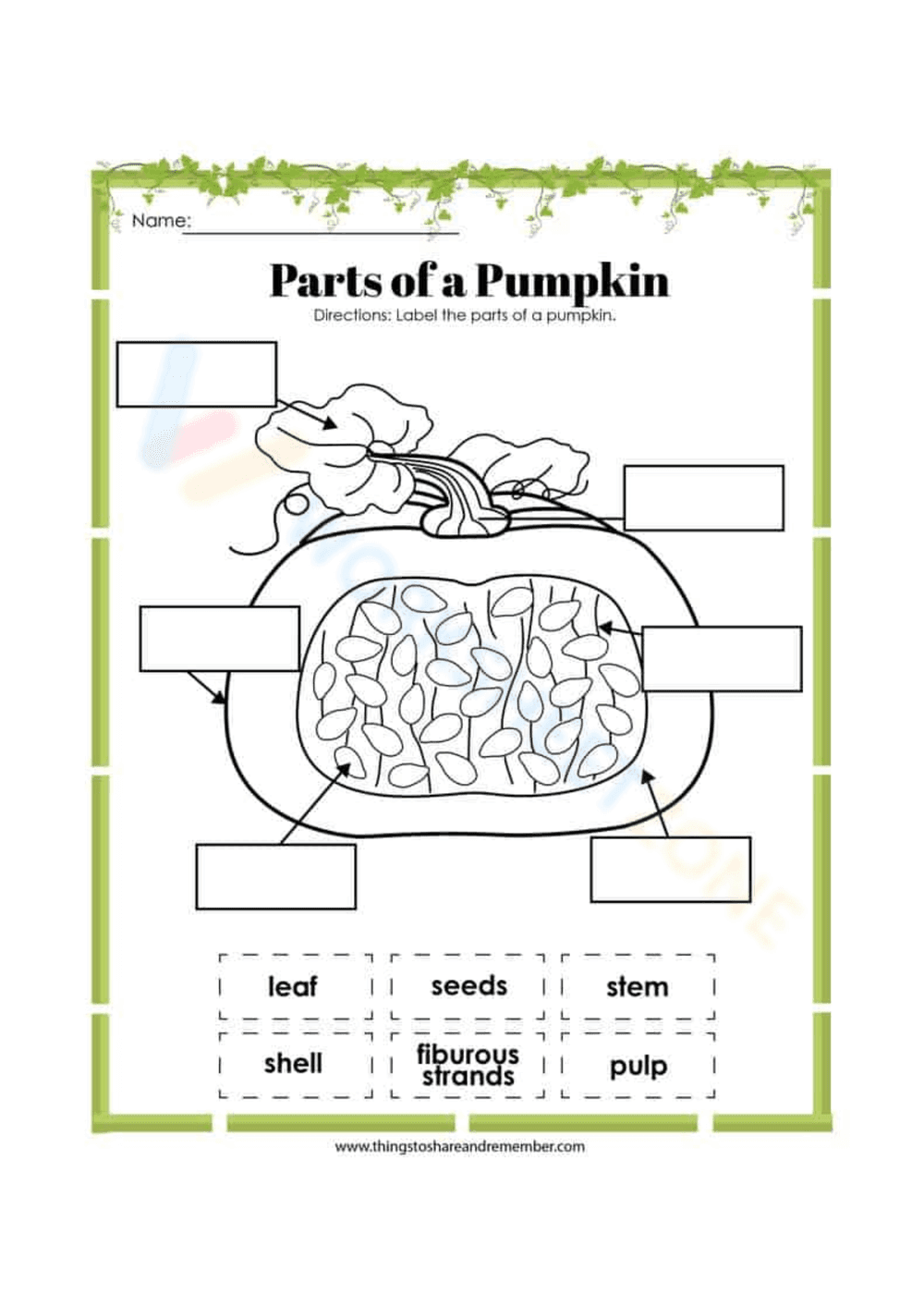 Discover the Anatomy: Parts of the Pumpkin Worksheet - Page 1